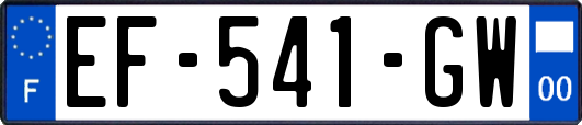EF-541-GW