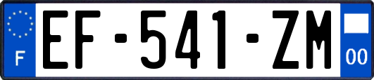 EF-541-ZM