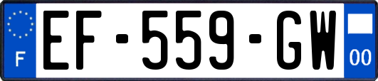 EF-559-GW