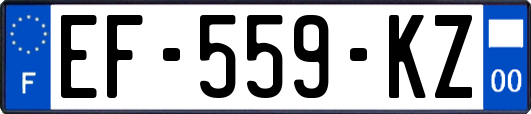 EF-559-KZ