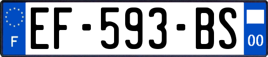 EF-593-BS