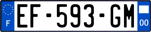 EF-593-GM