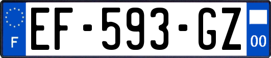 EF-593-GZ