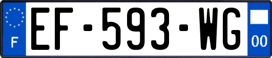 EF-593-WG