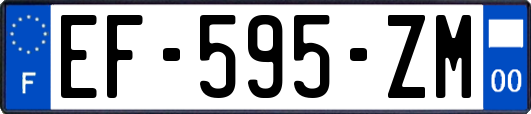 EF-595-ZM