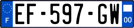 EF-597-GW
