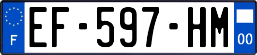 EF-597-HM