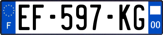 EF-597-KG