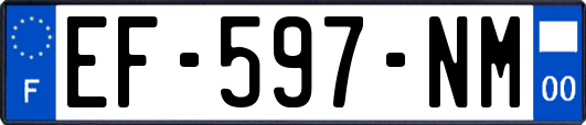EF-597-NM