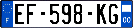 EF-598-KG