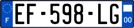 EF-598-LG