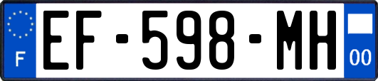 EF-598-MH