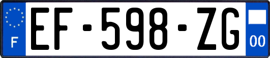 EF-598-ZG