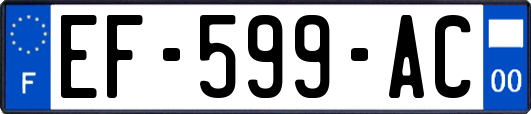 EF-599-AC