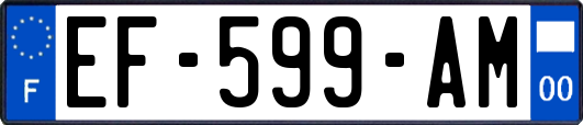 EF-599-AM