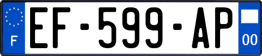 EF-599-AP