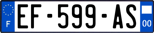 EF-599-AS