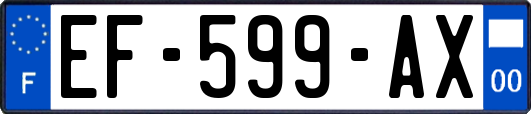 EF-599-AX
