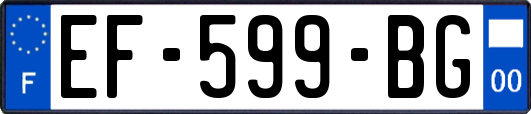 EF-599-BG