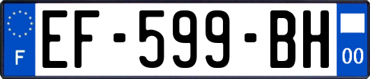 EF-599-BH
