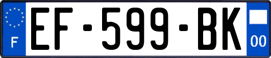 EF-599-BK