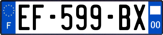 EF-599-BX