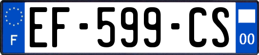 EF-599-CS