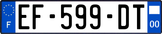 EF-599-DT