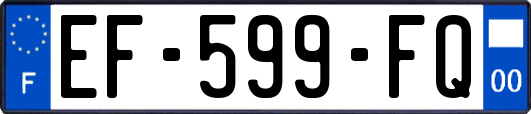EF-599-FQ