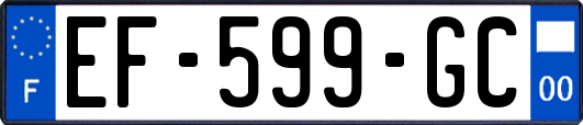 EF-599-GC