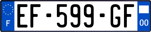 EF-599-GF