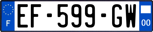 EF-599-GW