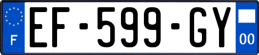 EF-599-GY