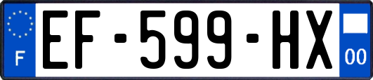 EF-599-HX