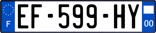 EF-599-HY