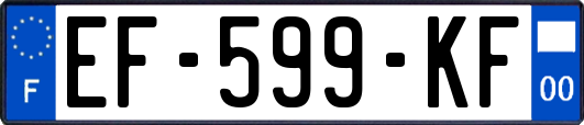EF-599-KF