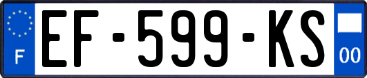EF-599-KS