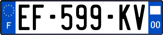 EF-599-KV
