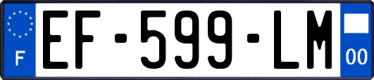 EF-599-LM