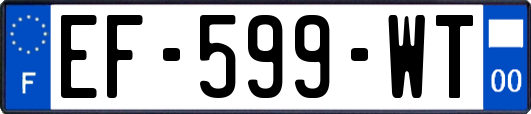 EF-599-WT