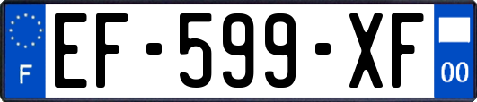 EF-599-XF