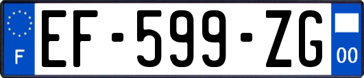 EF-599-ZG