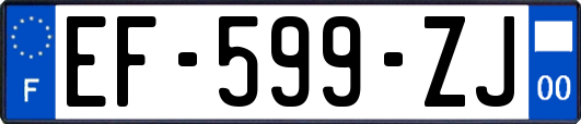 EF-599-ZJ