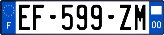 EF-599-ZM