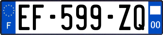 EF-599-ZQ