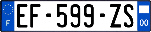 EF-599-ZS