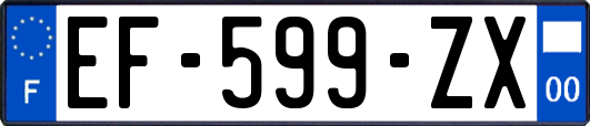 EF-599-ZX