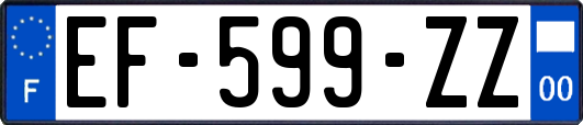 EF-599-ZZ