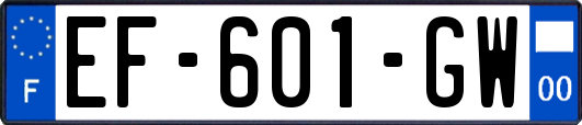 EF-601-GW
