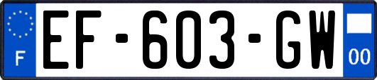 EF-603-GW
